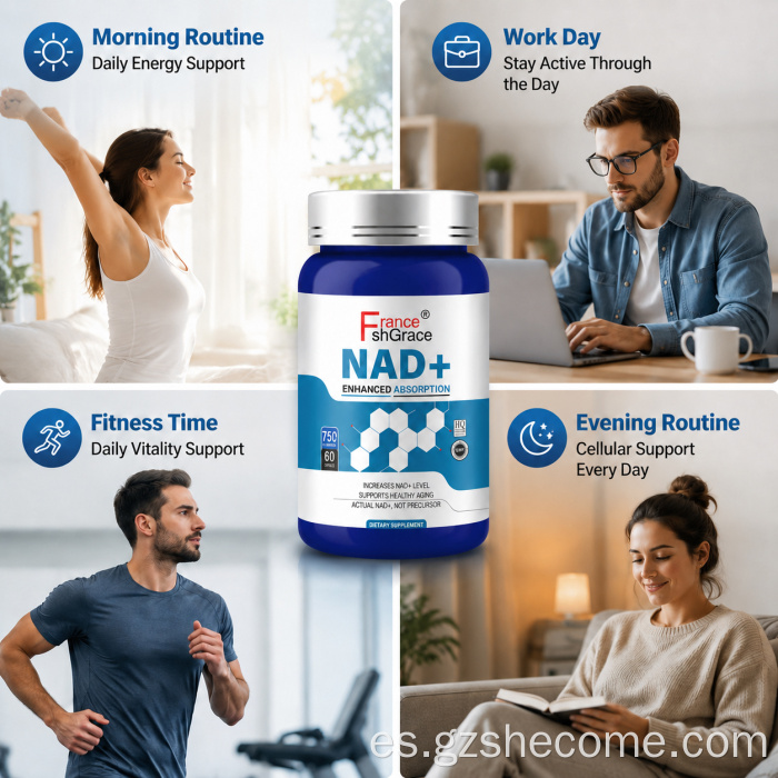 Shecome NAD Cápsulas para soporte antioxidante NAD+Suplementos